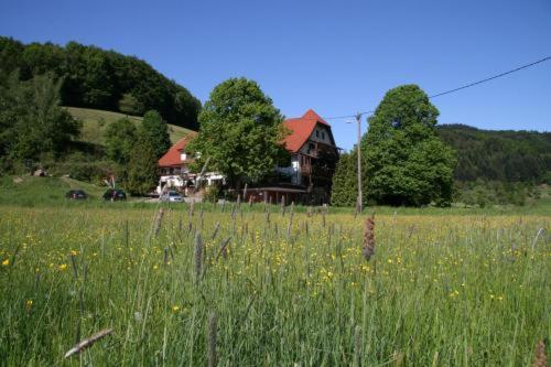 Hotel-Restaurant Kohlenbacher-Hof Waldkirch Buitenkant foto