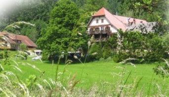 Hotel-Restaurant Kohlenbacher-Hof Waldkirch Buitenkant foto