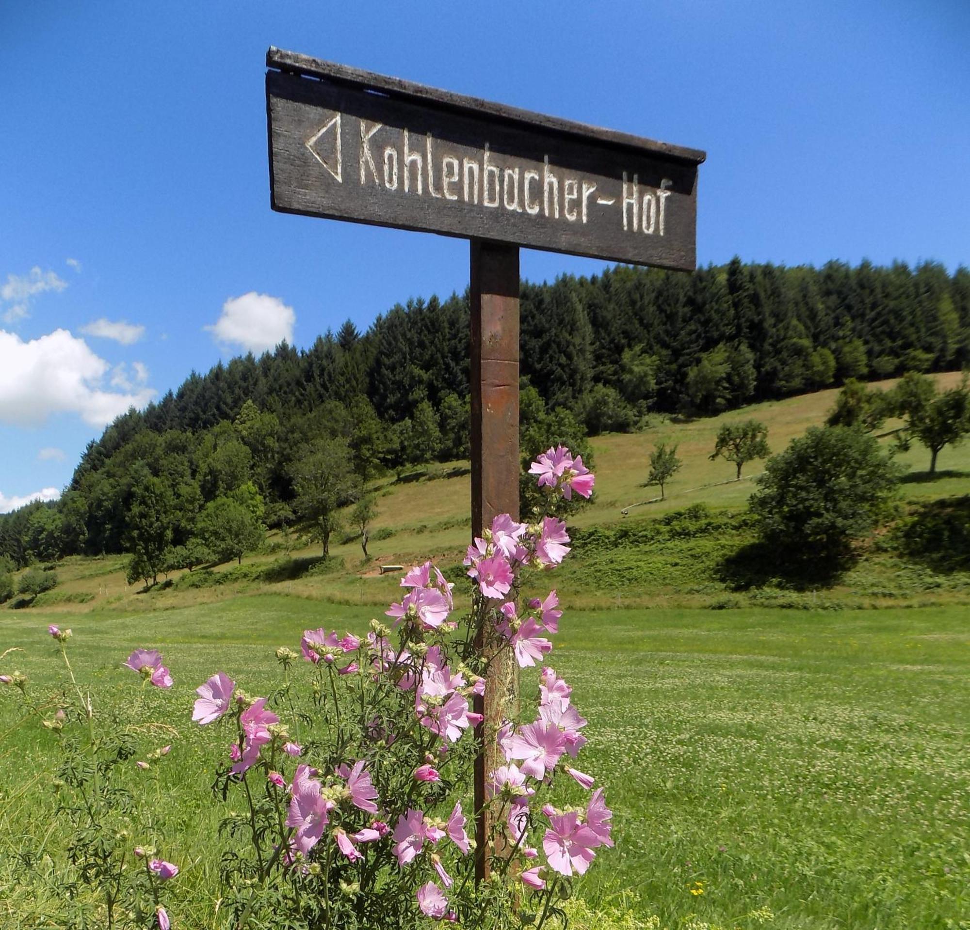 Hotel-Restaurant Kohlenbacher-Hof Waldkirch Buitenkant foto